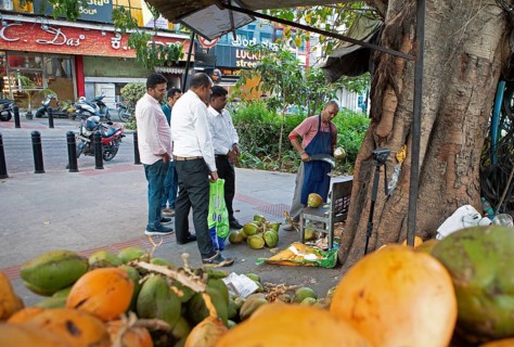 Indian man cutting a coconut, others watching, Begaluru or Bangalore, Karnataka, India