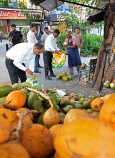 Indian man cutting a coconut, others holding sacks and watching, Begaluru or Bangalore, Karnataka,