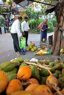 Indian man cutting a coconut, others watching, Begaluru or Bangalore, Karnataka, India