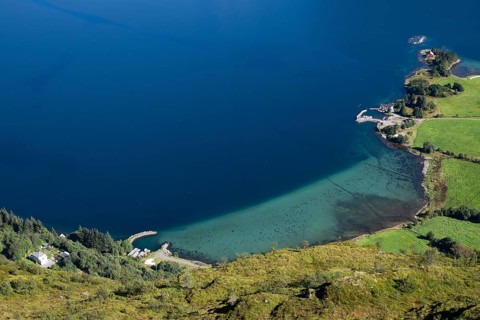 Coastal landscape with clear blue water and green meadows, houses, Otroya or Otrøya island, Møre og