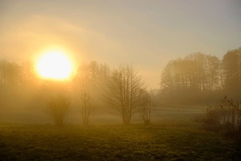 Morning atmosphere, fog at the Fischhof, Tirschenreuth, Upper Palatinate, Bavaria, Germany