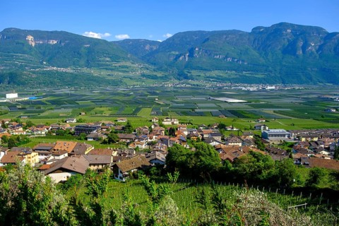 View over Tramin, South Tyrolean Wine Road, South Tyrol, Italy