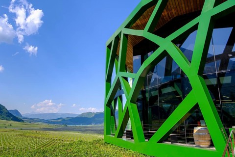 Tramin Winery, Tramin, Wine Route, South Tyrol, Italy