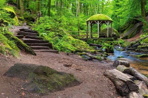 Stream, stone steps, pavilion, Karlstal Gorge, Trippstadt, Pfläzerwald, Rhineland-Palatinate,