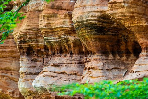 Old castle rock, sandstone rock, beech (Fagus), beech family (Fagaceae), Eppenbrunn, Pfläzerwald,