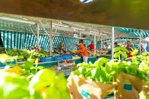 A customer and saleswoman in conversation at a colourful market stall, Sindelfingen, Böblingen