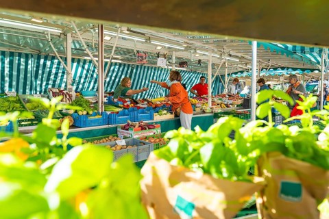 Customers talking to a saleswoman at a market stall, surrounded by fresh produce, Sindelfingen,