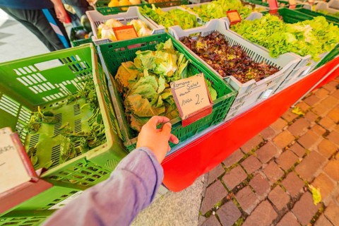 A hand takes lettuce from a market stall with fresh vegetables in green boxes on a paved path,