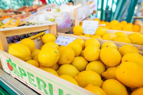 Lemons in a wooden crate at a lively market, Sindelfingen, Böblingen district, Germany