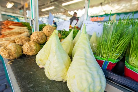 Kohlrabi and herbs on a market stall in fresh surroundings, Sindelfingen, Böblingen district,