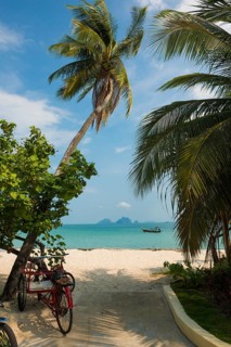 White sandy beach and coconut palms, Pearl Beach, Koh Mook, Trang Province, Southern Thailand,