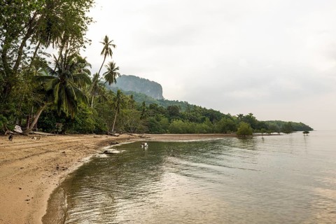 Sandy beach beach and coconut palms, Koh Mook, Trang Province, Southern Thailand, Andaman Sea,