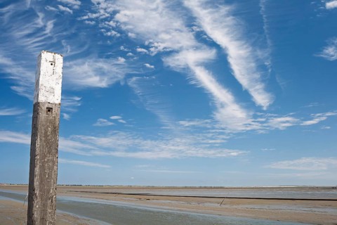Beach pile, beach post on the German North Sea coast, East Frisia, Lower Saxony, Germany