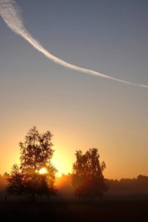 Morning atmosphere in a heath landscape, morning sun and fog, summer, Germany
