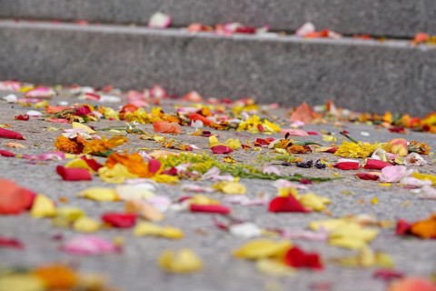 After a wedding, scattered flowers, summer, Germany