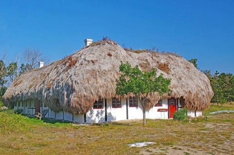 A traditional house covered with seaweed under a clear blue sky in a rural setting, Læsø, Jutland,