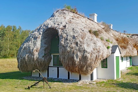 A small seaweed-roofed house with green shutters and an anchor against a natural backdrop, Læsø,