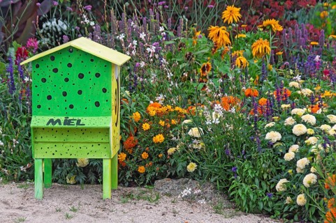 Green beehive in a colourful flowerbed, Brittany, France