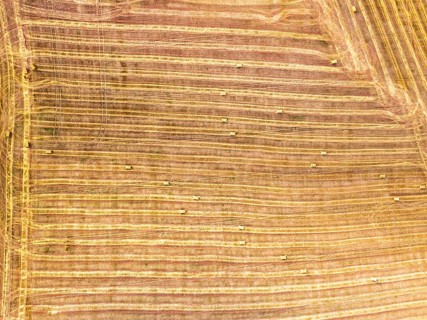 Top Down over Fields from a drone, Torquay, Devon, England, United Kingdom