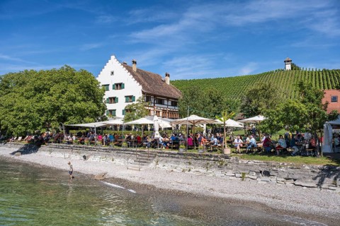 Ein Biergarten am Bodenseeufer mit dem historischen Fachwerkbau vom Rebgut Haltnau bei Meersburg,