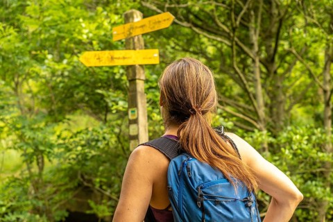 Female hiker contemplating directions on a wooden signpost, surrounded by the vibrant greenery of a