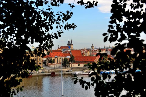 Prague cityscape with vltava river, church of our lady before tyn and tiled roofs framed by leaves