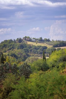 Rolling hills with cypresses under a cloudy summer landscape in Tuscany, San Gimignano, Italy