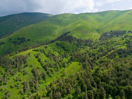 Densely forested mountain slopes with view of green valley under partly cloudy sky, aerial view,
