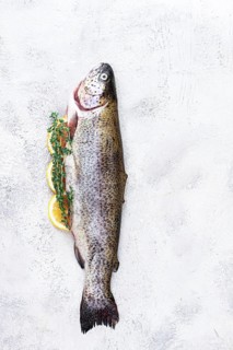 Freshly caught rainbow trout with herbs and citrus arranged on a light textured surface