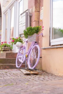 A purple bicycle with a basket full of flowers in front of the windows of an old house, small town