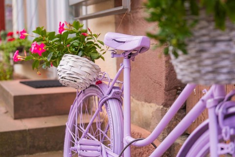 Purple bicycle with white baskets full of flowers, stylishly decorated in front of a front step,