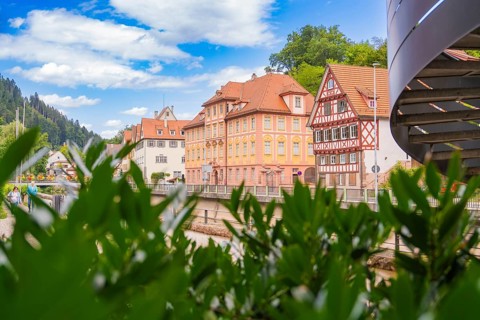View over plants to half-timbered houses under a blue, cloudy sky, small town of Perle Calw, Black