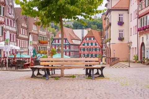 Quiet, picturesque half-timbered street with benches under trees, small town pearl Calw, Black
