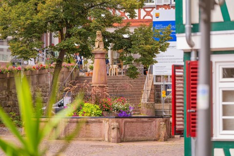 Fountain with flower arrangement in front of historical buildings and stairs in the background,