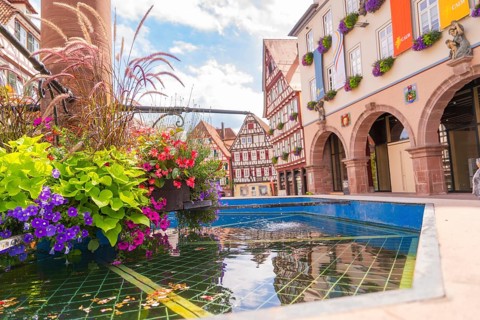 Colourful view of a fountain with half-timbered houses, decorated with flowers and reflecting water