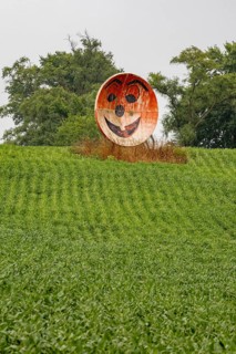New Troy, Michigan - An old satellite dish converted to a grinning face on a farm in southwest