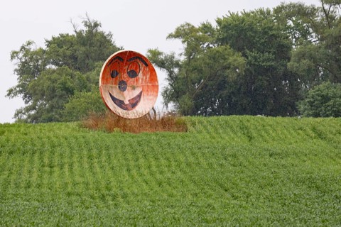 New Troy, Michigan - An old satellite dish converted to a grinning face on a farm in southwest