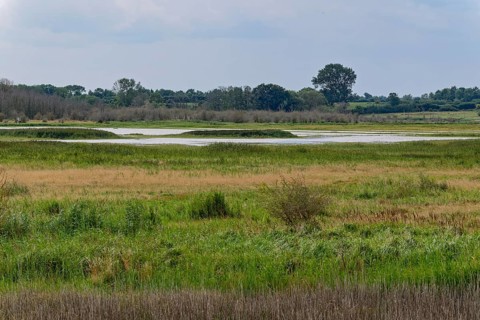 Heath, water areas, marshes, forests, salt marshes and dunes characterise the landscape in the