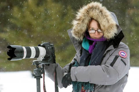 Photographer Veronique Amiard photographs the forest landscape in winter, light snowfall, Gaspesie