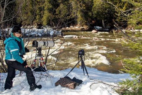 Photographer Veronique Amiard photographs birds along the white waters of the Ste Anne river,