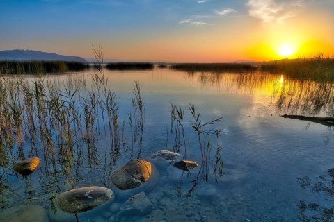 Atmospheric sunrise on Lake Murten, reed belt and stones in the water, Canton of Fribourg,