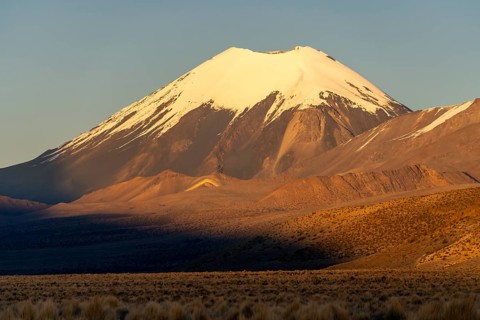 Snow-covered Parinacota volcano at dawn, Sajama National Park, Puna vegetation, Curahuara de