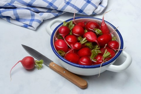Radish in skin, in water, Raphanus sativus