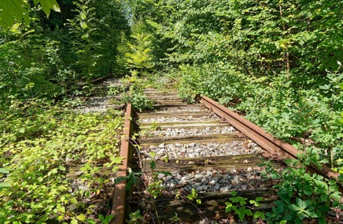 Rusty, overgrown tracks at the former Blumendorf railway station. Bad Oldesloe, Schleswig-Holstein,