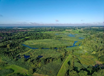 Water surfaces of the Trave and vegetation in the Brenner Moor. Aerial view. The Brenner Moor is a