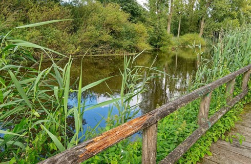 Footpath with wooden railings along the River Trave in Brenner Moor. The Brenner Moor is a salt