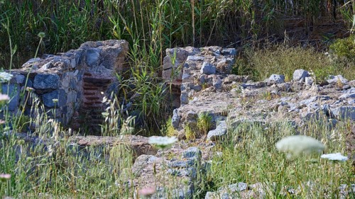 Remains of an ancient wall surrounded by plants in a historical site, ancient Roman bath, Tallaras,
