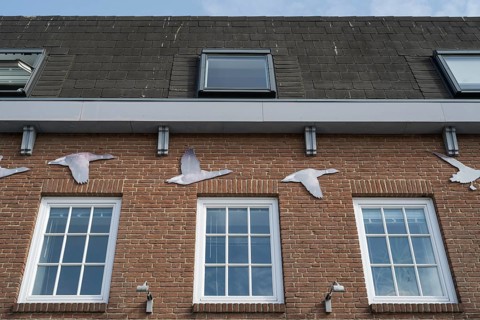 National Park House, harbour, Husum, North Frisia, North Sea, Schleswig-Holstein, Germany