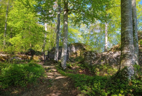 Ruin of Alter Lichtenstein near Lichtenstein Castle, eaves of the Swabian Alb, trees, deciduous