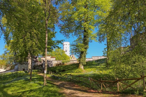 Lichtenstein Castle, fairytale castle of Württemberg, romantic fairytale castle on the eaves of the